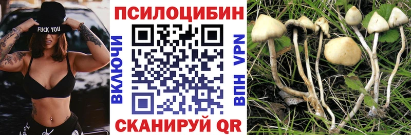 Псилоцибиновые грибы мухоморы  Чкаловск 